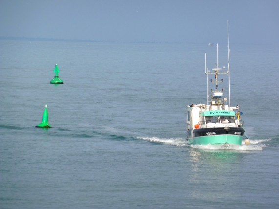 Lamandine Sorties Pêche En Mer Activités Nautiques à