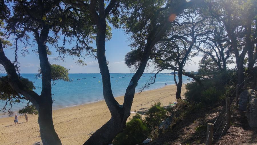 ©Quentin Boulegon - sentier plage des Sableaux Bois de la Chaise