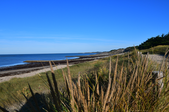 Visite en bord de mer île de Noirmoutier - Les Balades de Nicolas