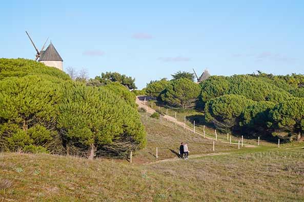 Moulins La Guérinière - Quentin Boulegon