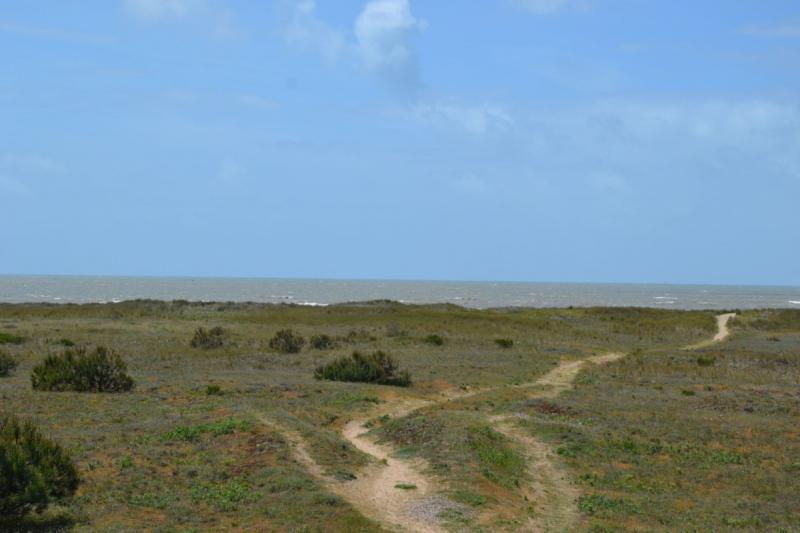 MAIS BF04500 / Noirmoutier : Location de vacances pour 4 personnes à Barbâtre