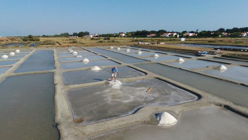 Marais salant La Nouvelle Brille