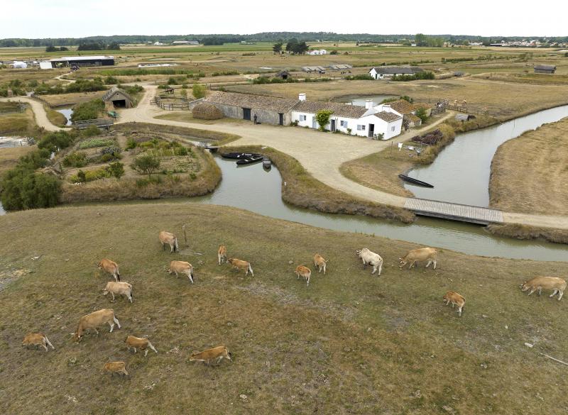 Le Daviaud - Ecomusée du Marais Vendéen