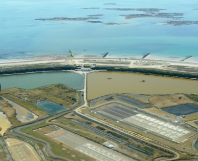 3 janvier 2025 - Sentier découverte « Entre mer et terre » Histoire d’eau Zone humide de la pointe du Devin avec Marie