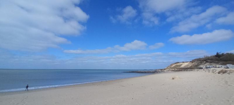 MAIS EC04207 / Noirmoutier : Location vacances pour 4 personnes dans le Bois des Eloux à l'Epine