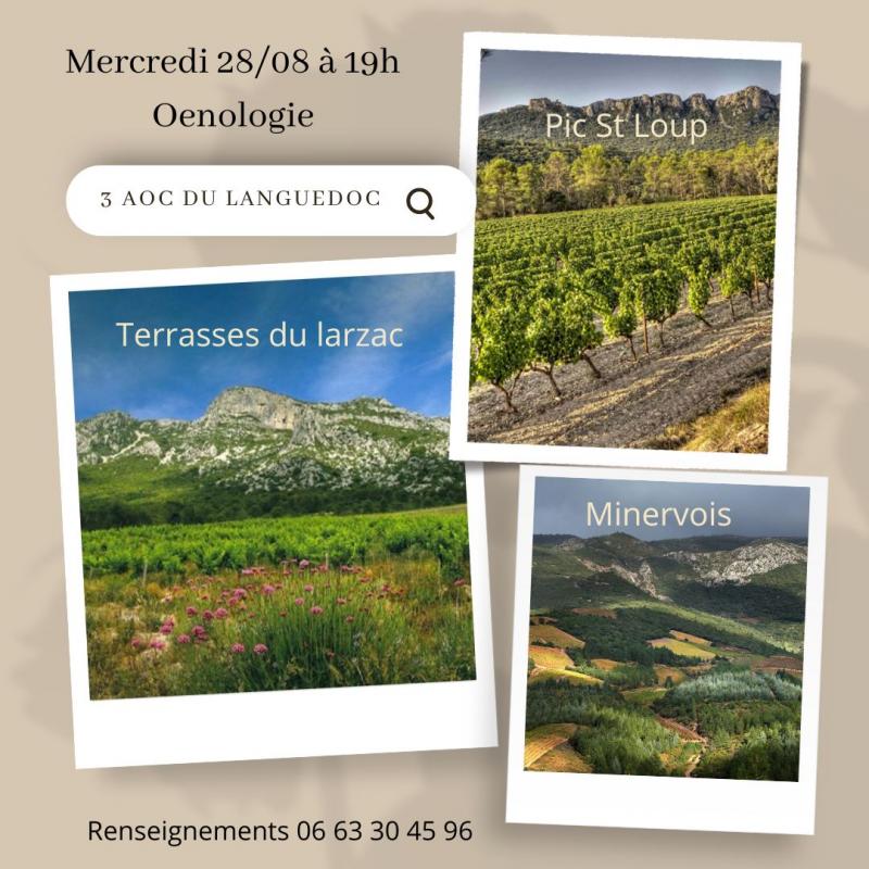 28 août 2024 : Animations œnologique - 3 vignobles du Languedoc : Minervois, Terrasses du Larzac, Pic Saint Loup