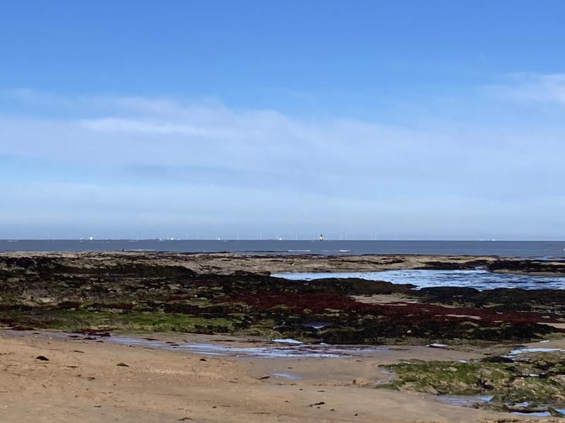 14 février 2025 - Sortie pêche à pied avec Marie Grué