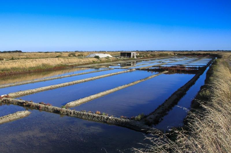 MAIS BJ06071 / Location de vacances pour 6 personnes dans une résidence privée proche plage sur Noirmoutier