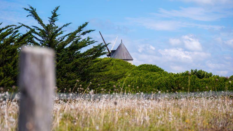 1er octobre 2024 - Visite guidée : La Guérinière, son histoire et ses traditions