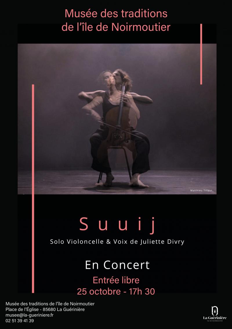 25 octobre 2024 - Concert Suuij