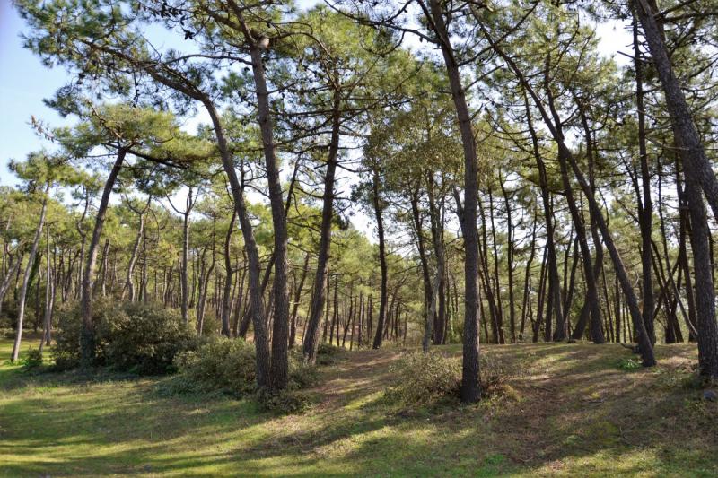 MAIS EB09201 / Maison de vacances à l'Epine sur Noirmoutier pour 8 personnes