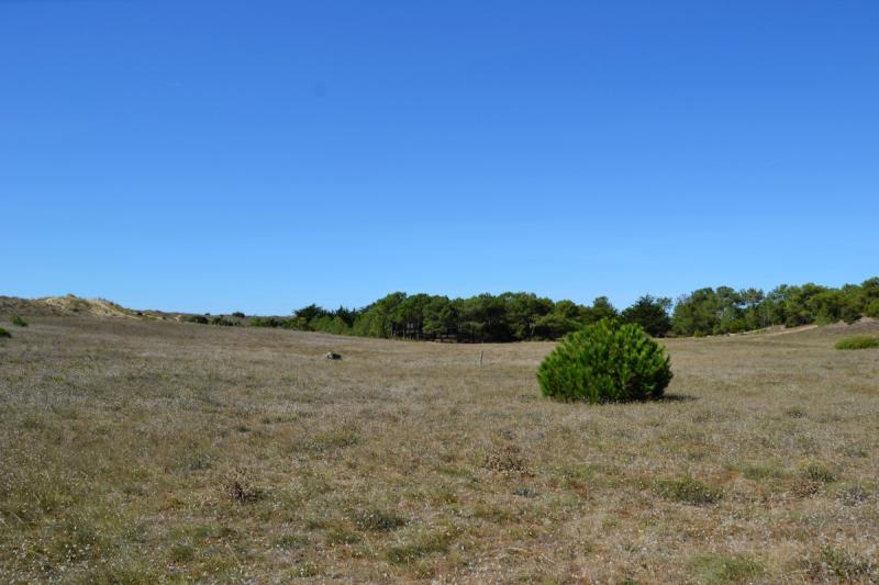 VILL BM06102 / Noirmoutier : Maison de vacances à moins de 50 mètres de la plage pour 6 personnes