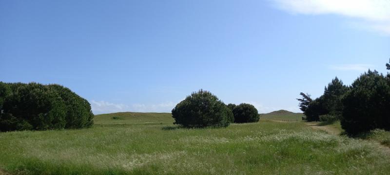 MAIS GT04350 / Noirmoutier : Location 5 personnes dans les dunes de la Tresson