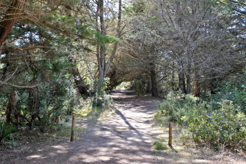 APPA BJ04097 / Maisonnette côté dunes à Barbâtre sur l'île de Noirmoutier pour 4 personnes