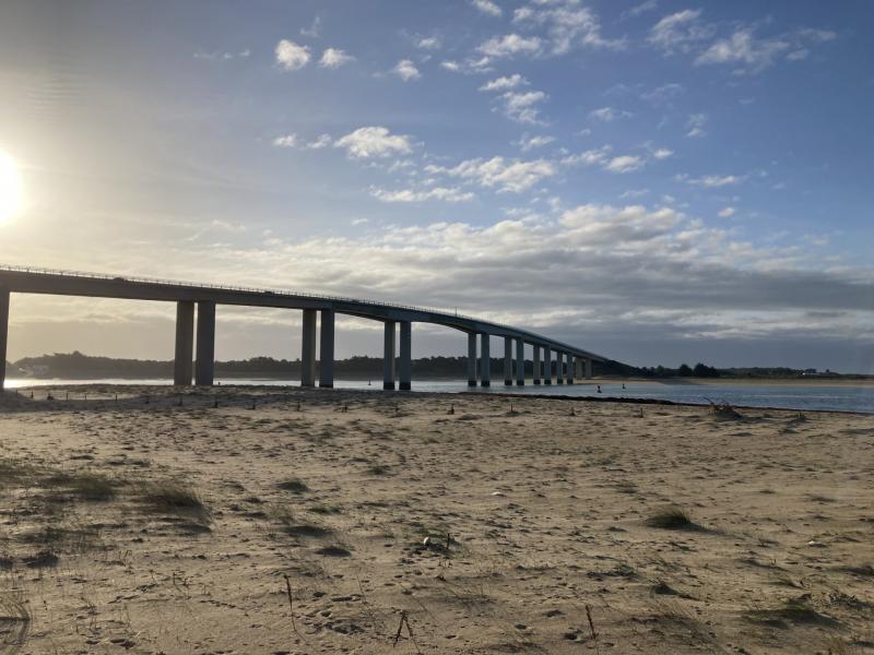 23 octobre 2024 - Balade guidée : le pont, le sable et la forêt avec Marie