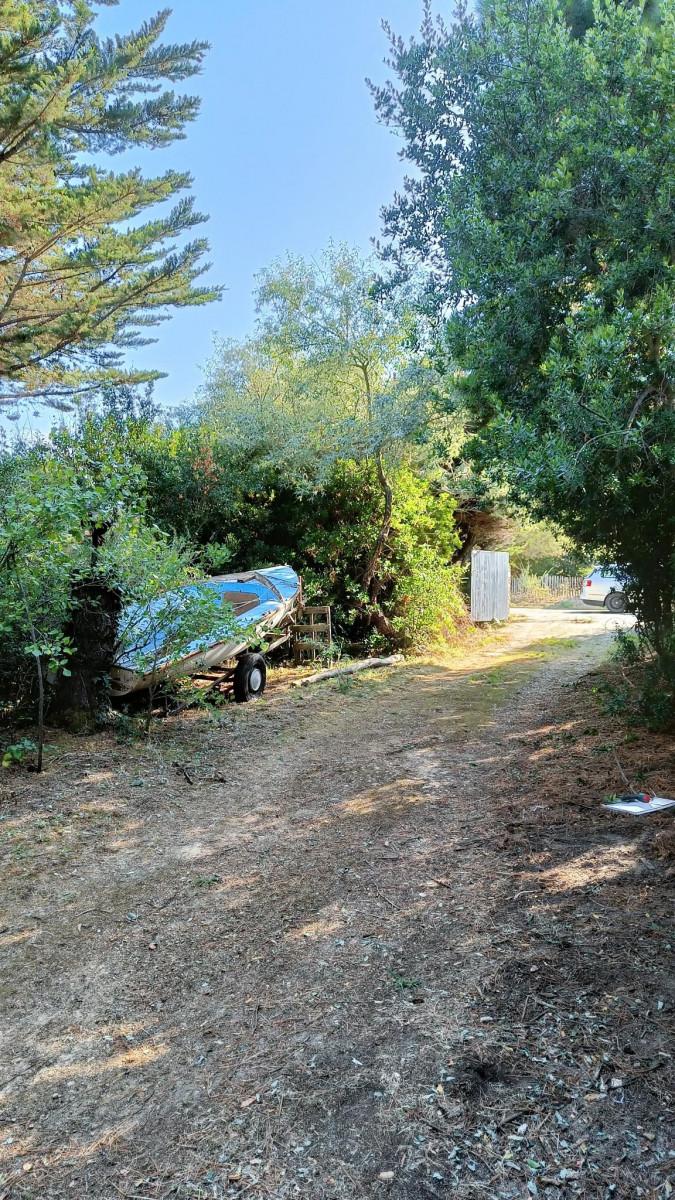 MAIS BF06010 / Vue sur mer à Noirmoutier : Location vacances pour 6 personnes à Barbâtre