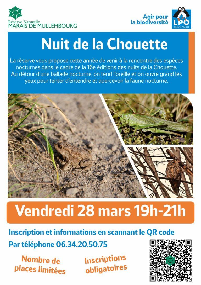 28 mars 2025 - La Nuit de la Chouette avec la LPO Vendée