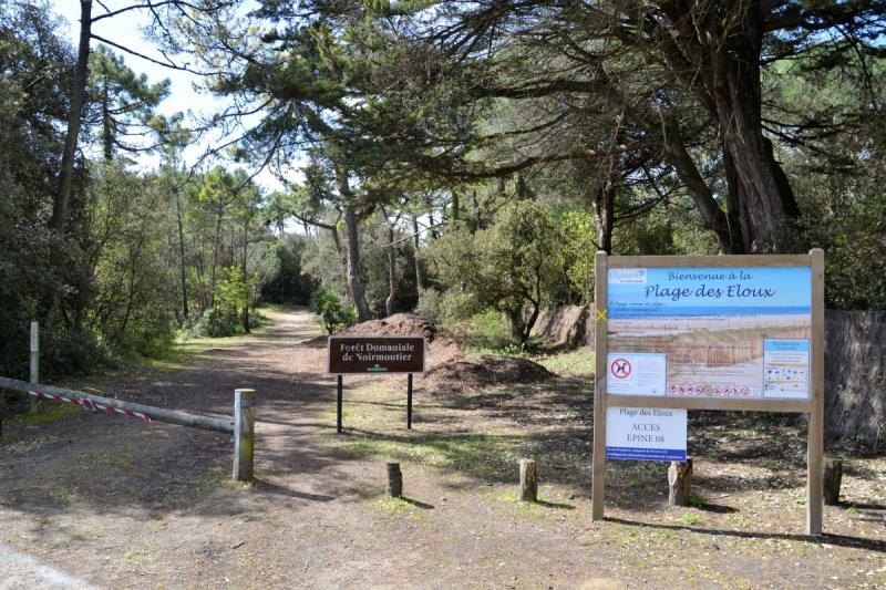 MAIS EC04206 / Noirmoutier : Maison de vacances pour 4 personnes dans le Bois des Eloux à l'Epine