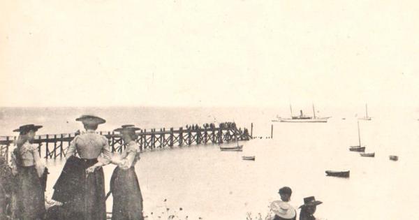 Le Bois de la Chaise, l’incontournable de l’île de Noirmoutier